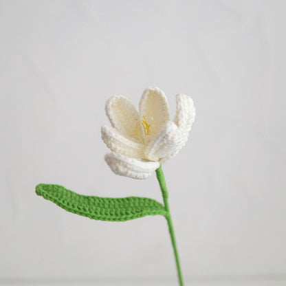 All 6 flower Colors available