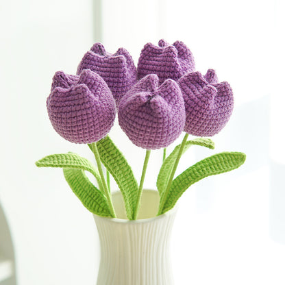Colorful Tulps All 8 Colors available