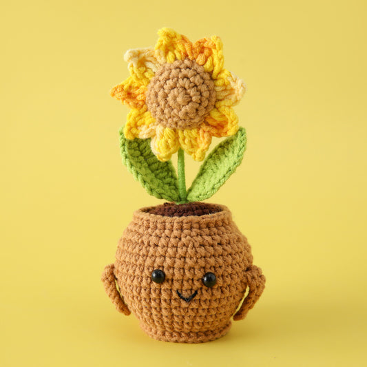 Potted Flower Single sunflower
